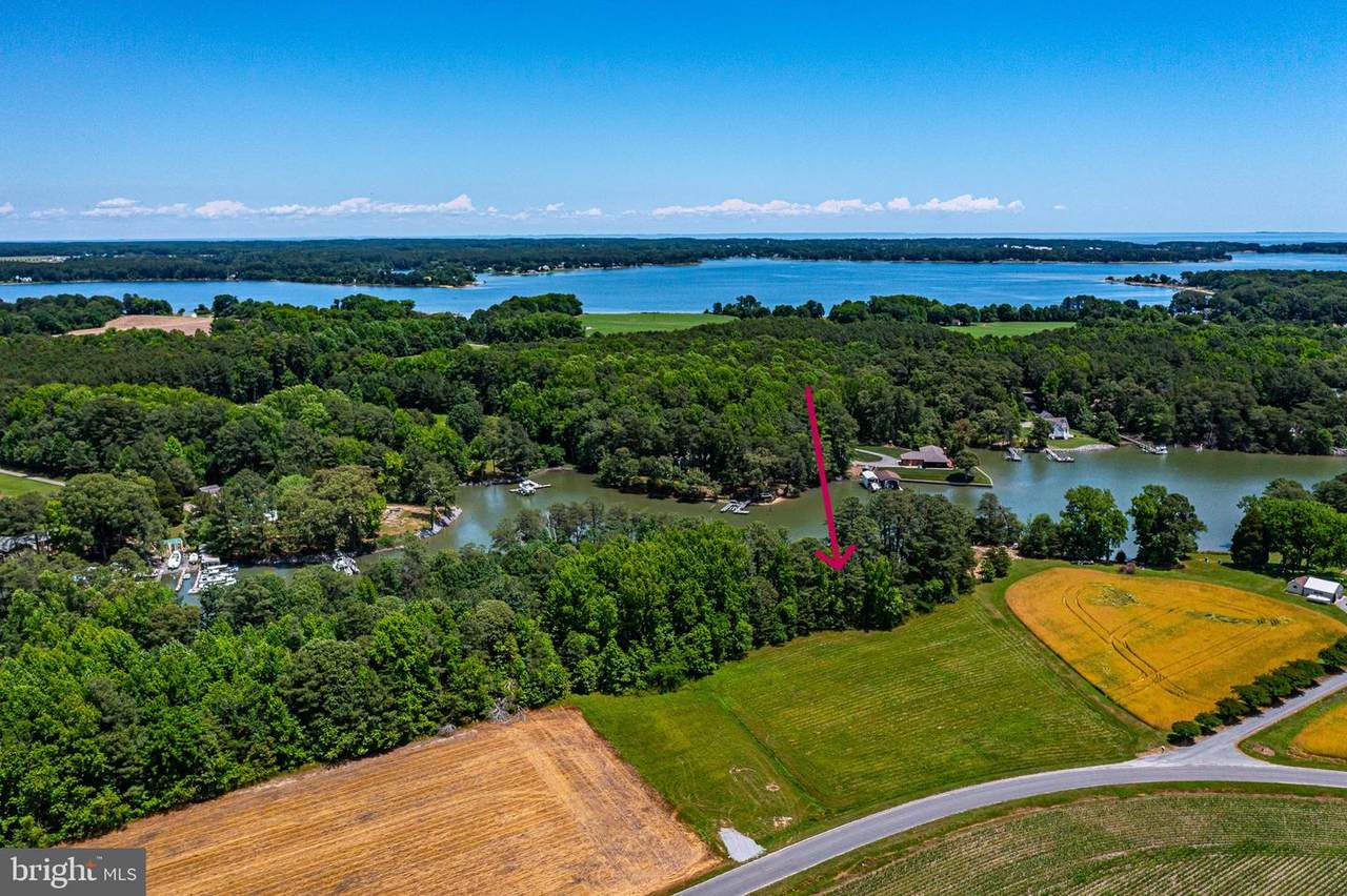Lot 7 Cranes Creek Harbor Drive - Photo 1