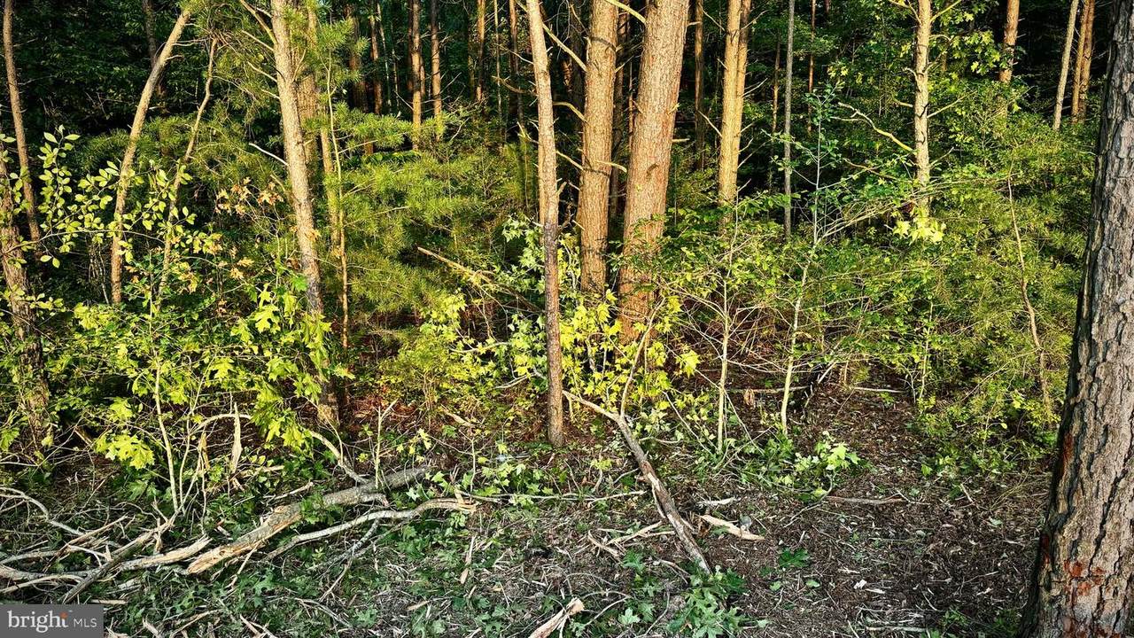 Leedstown Road - Photo 1
