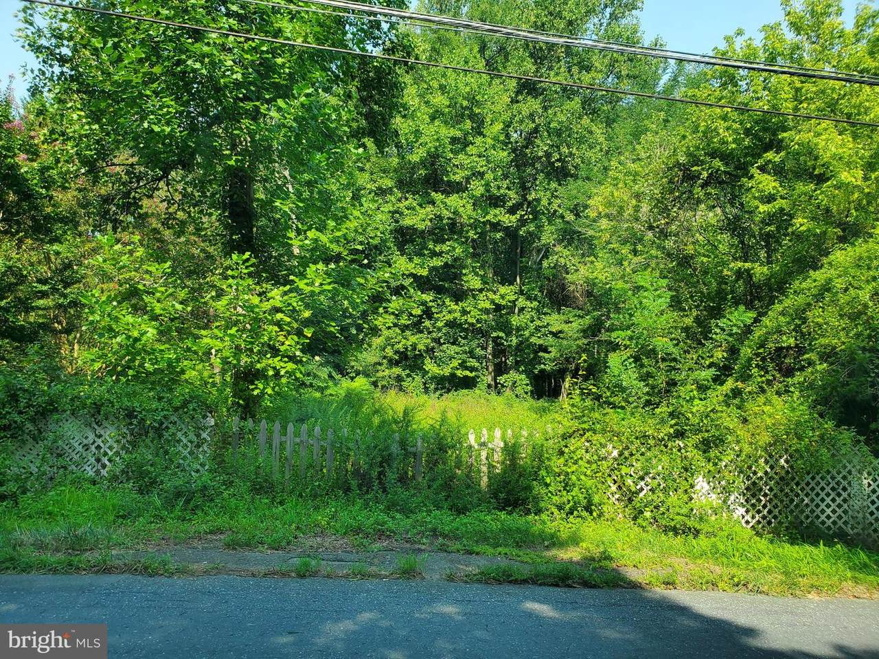 918 Carsins Run Road - Photo 1