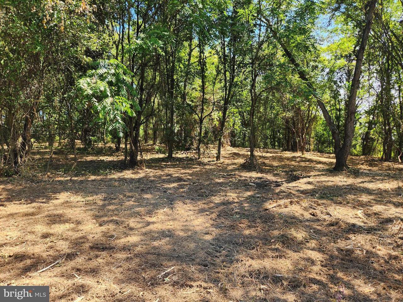 Lot 1 Westwind Minor - Photo 1