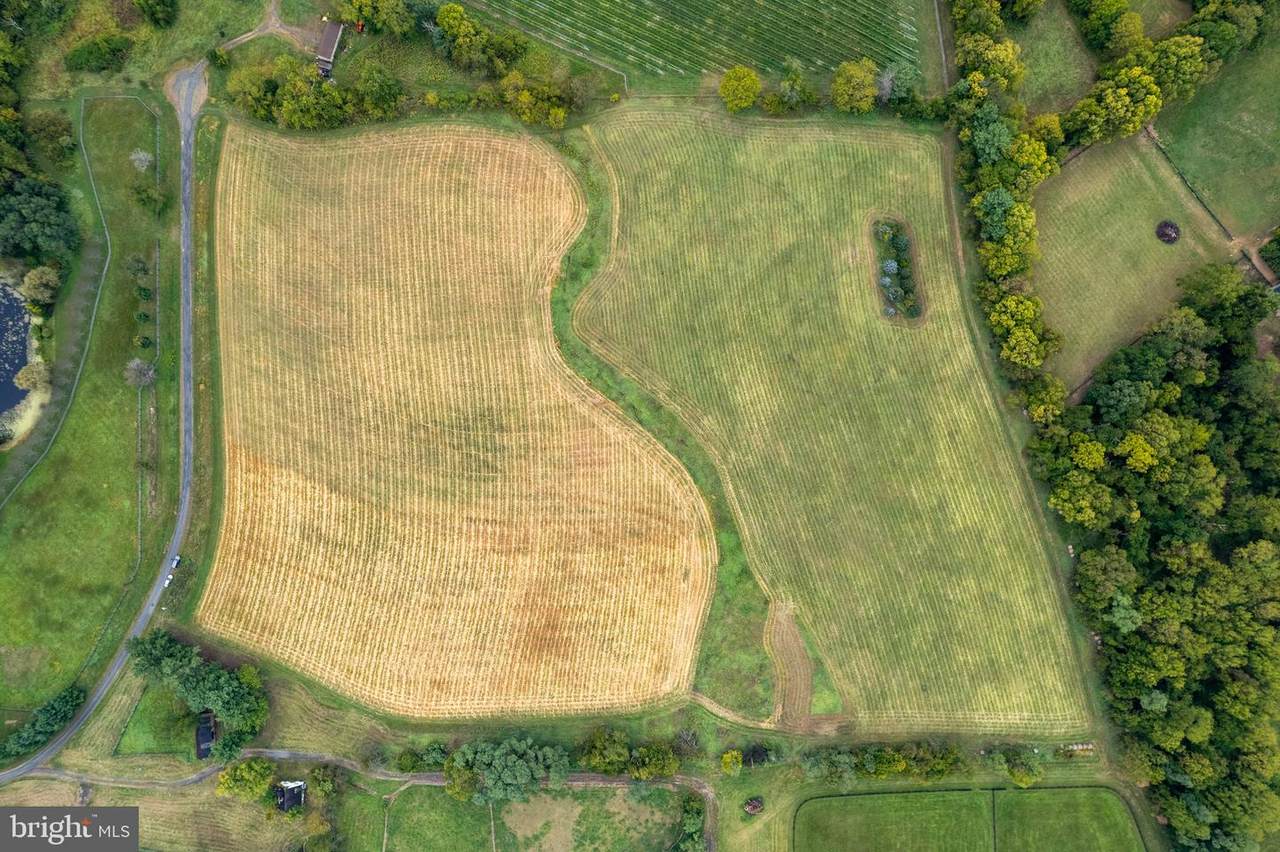 20.17 Acres Hedgeland Lane - Photo 1