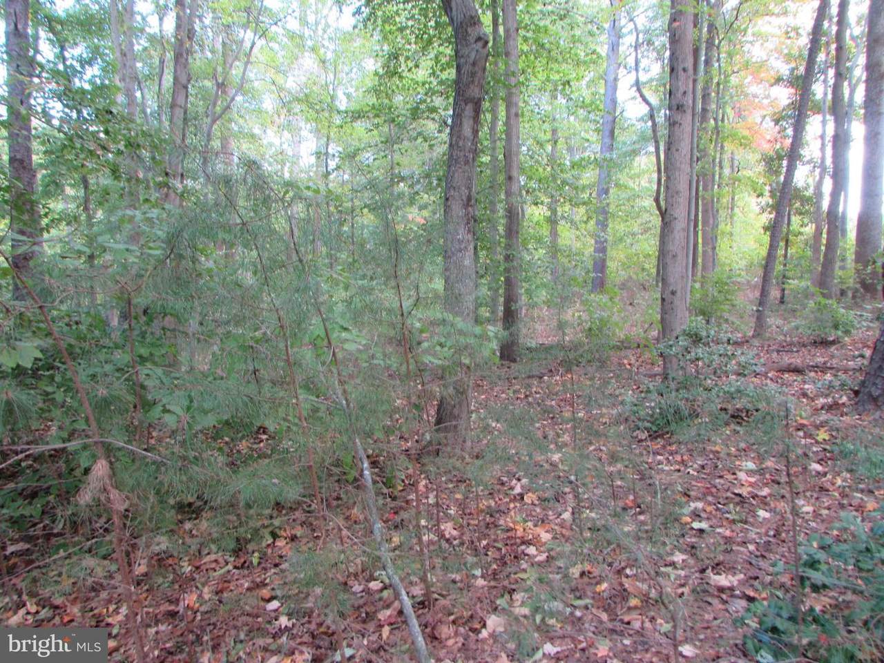 8410 Pushaw Station Road - Photo 1