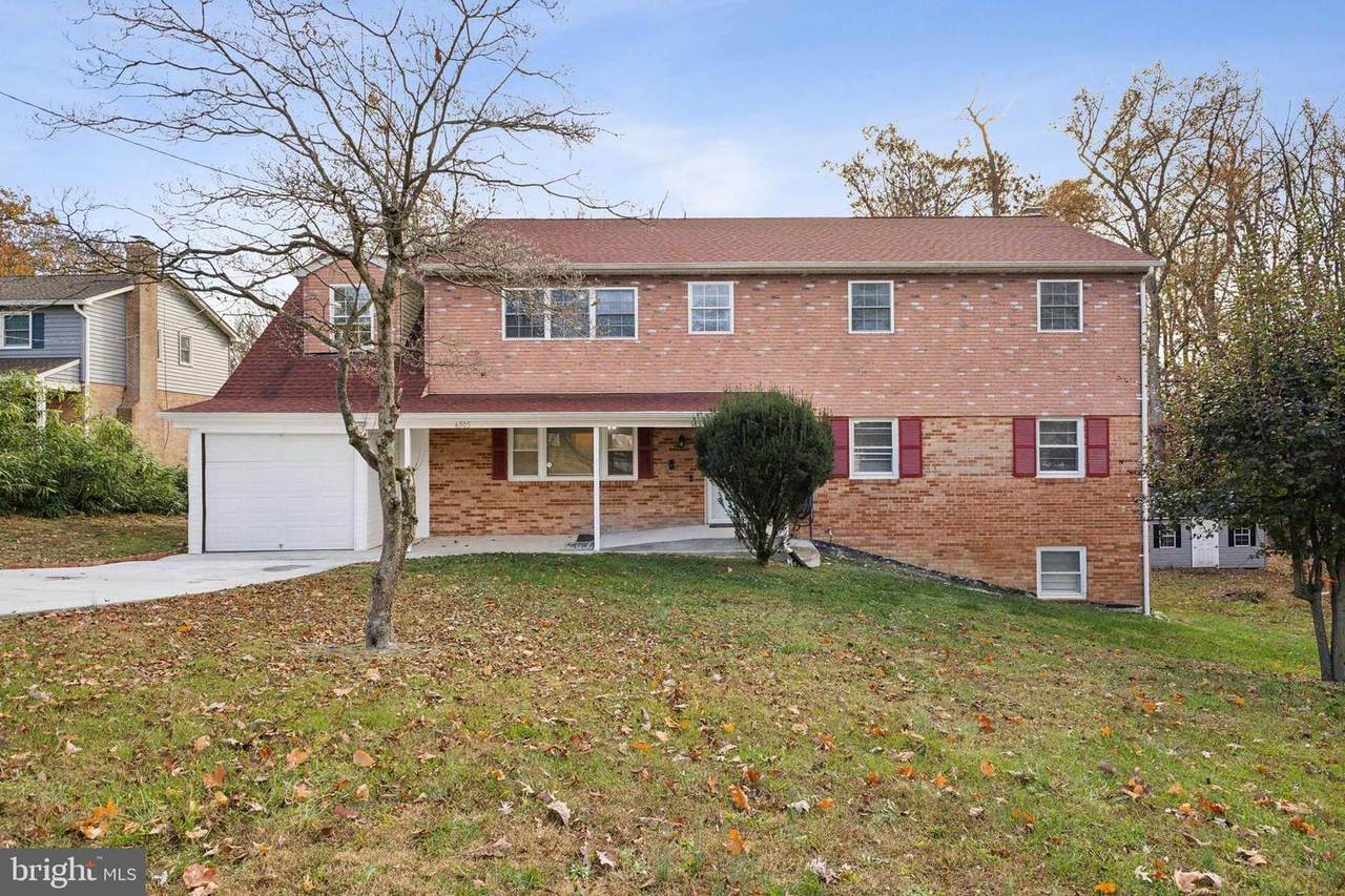 6505 Springbrook Lane - Photo 1