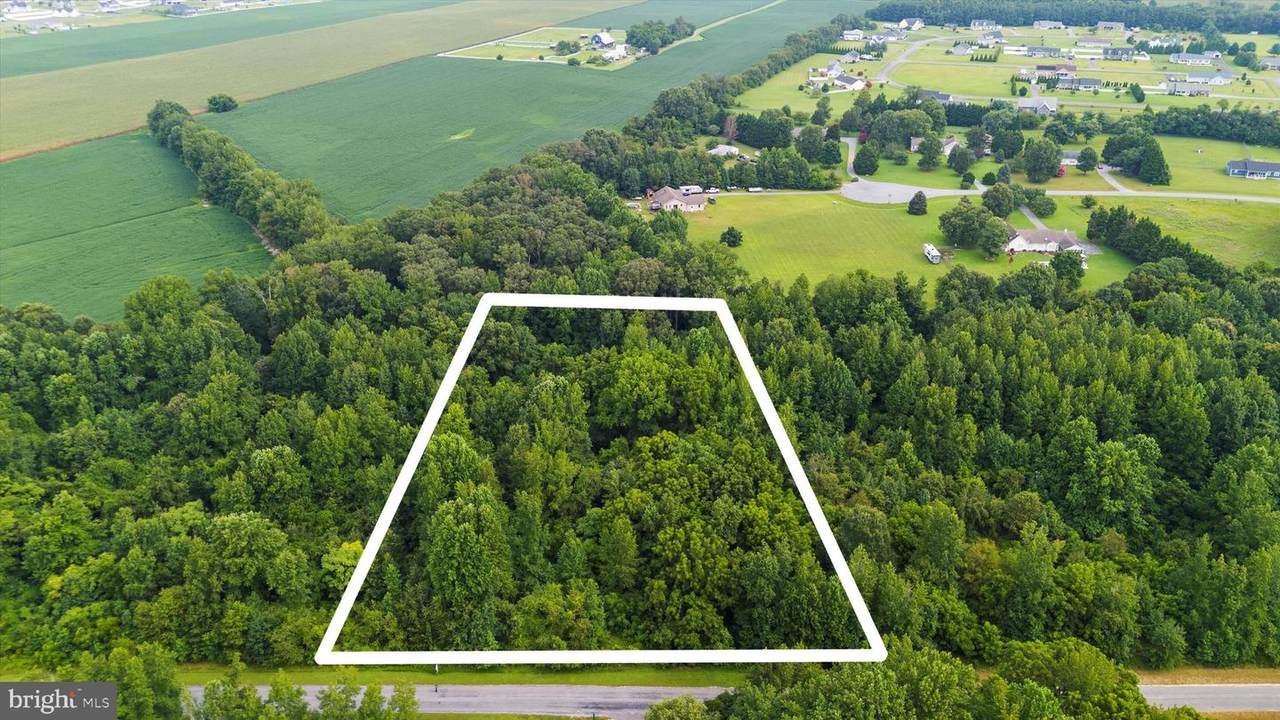  Burnt Mill Road - Photo 1