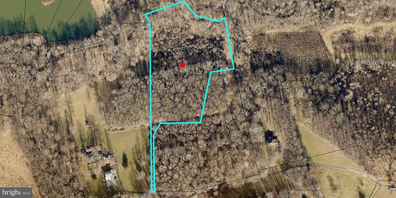 12223 Molly Berry Rd. - Photo 1
