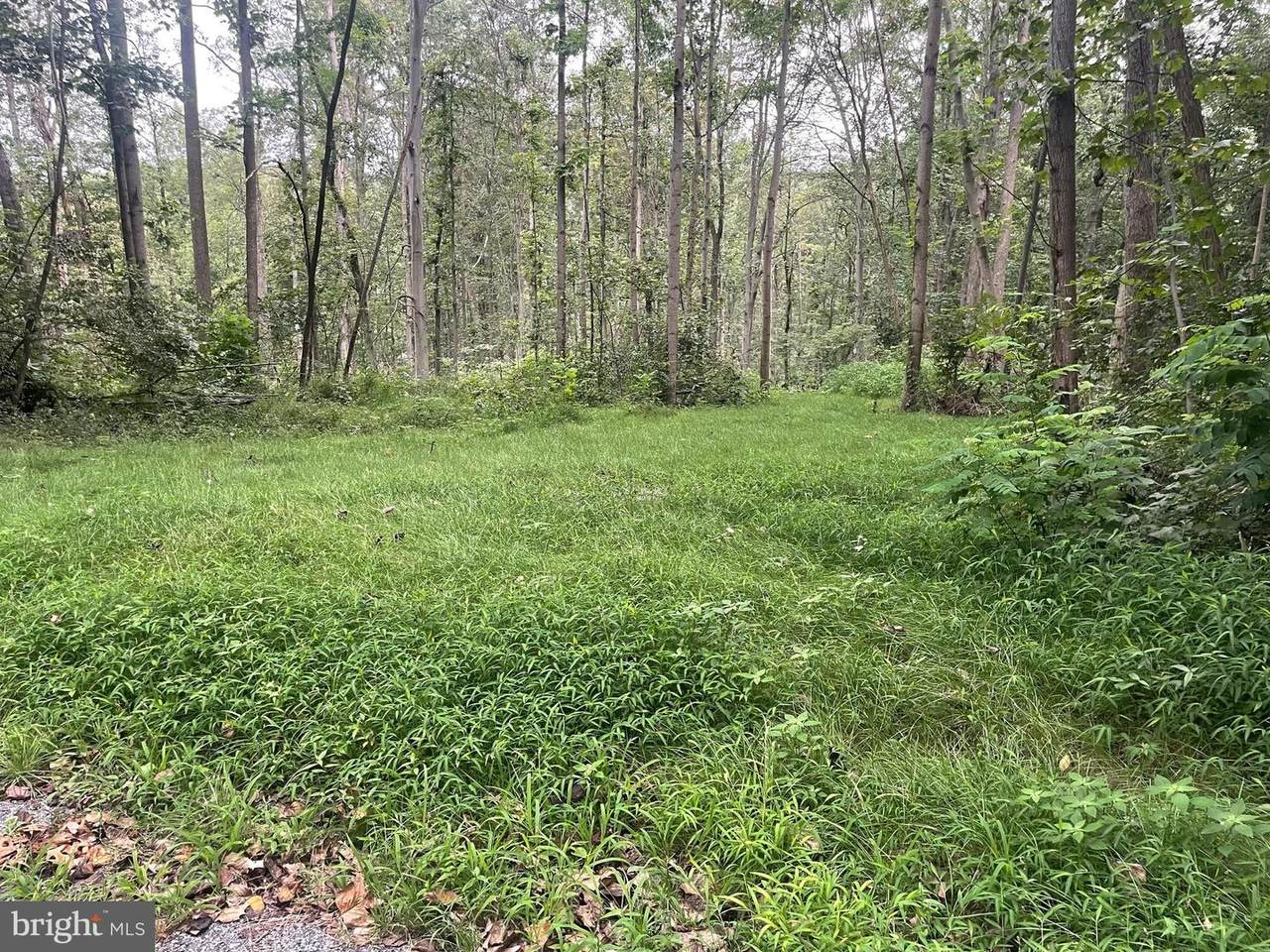 0 Laurel Road - Photo 1