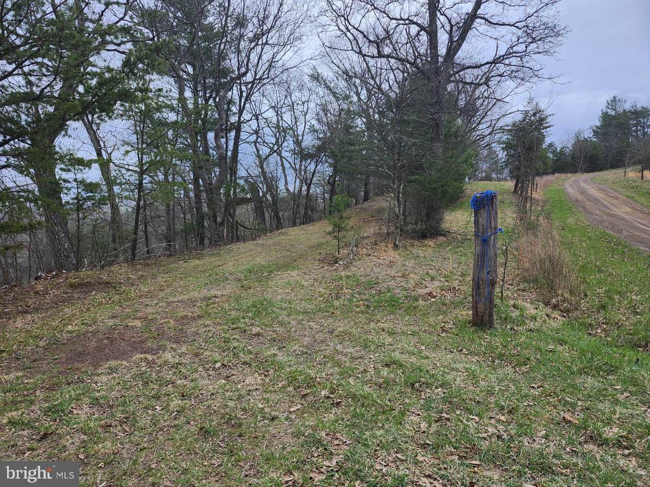  Grace Mtn Ln - Photo 1