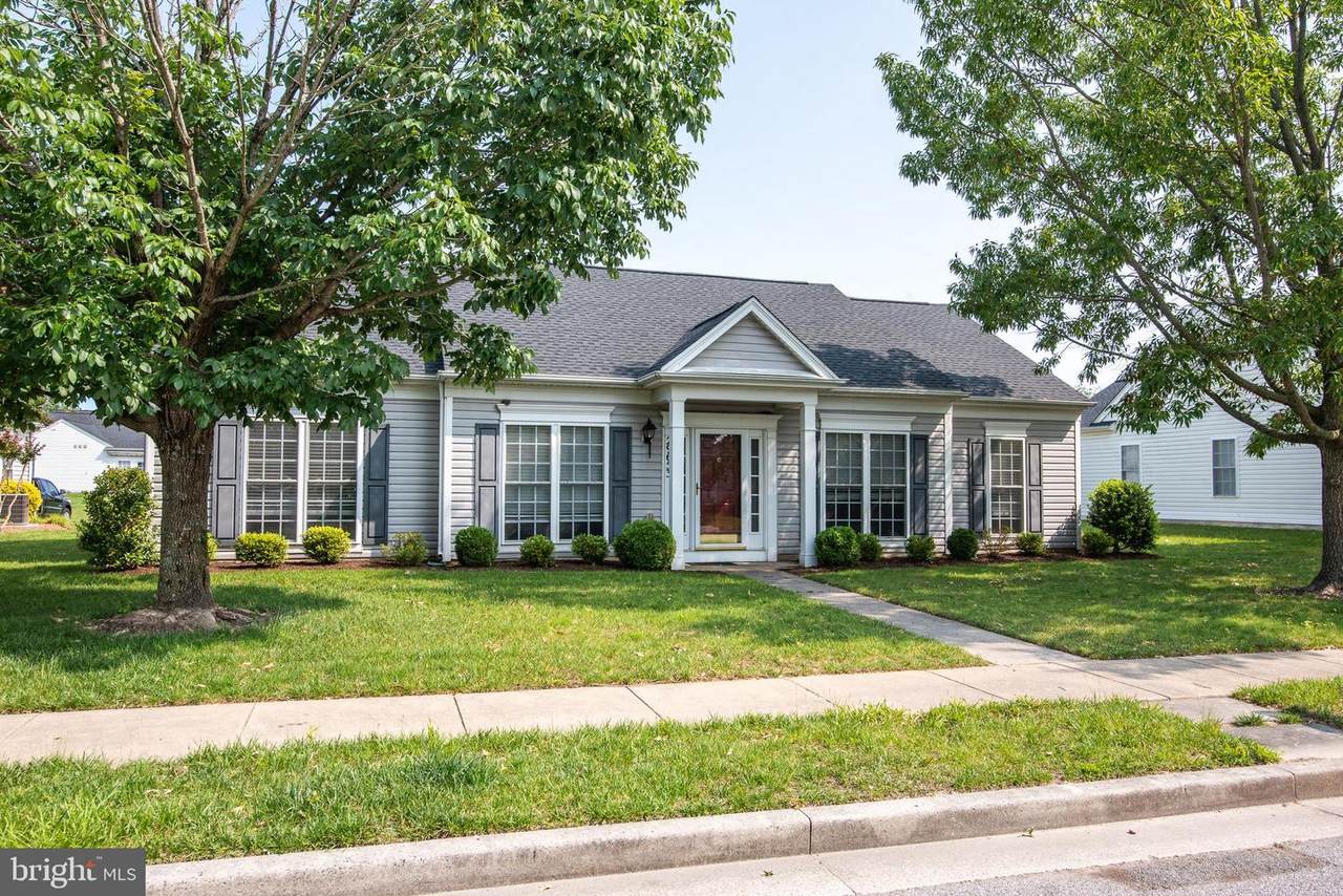 29653 Lyons Drive - Photo 1