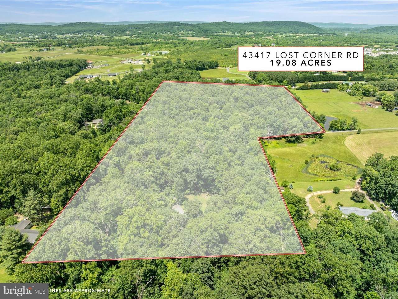 43417 Lost Corner Road - Photo 1