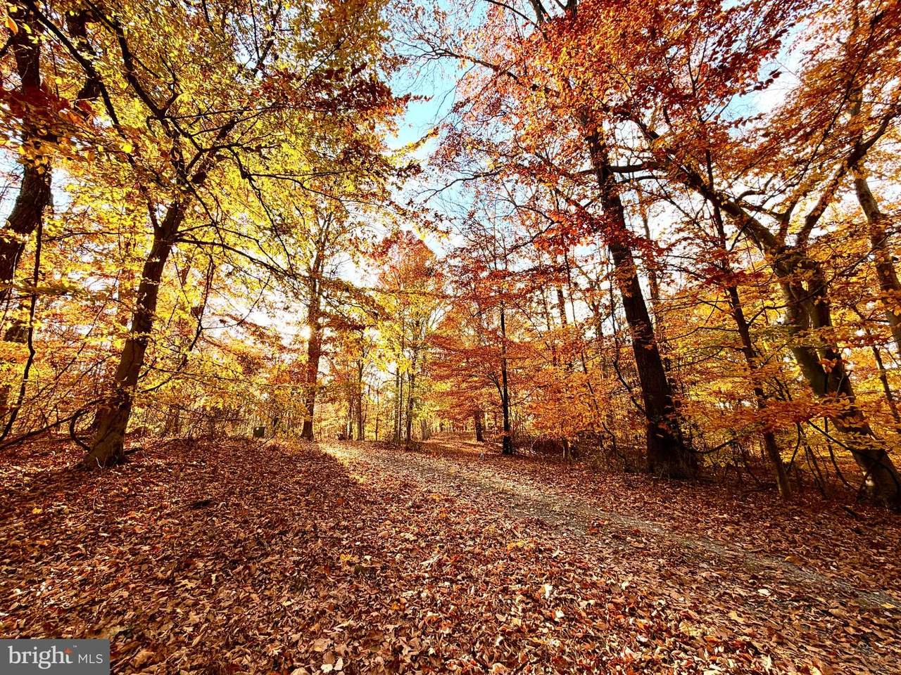  Goaway Road - Photo 1