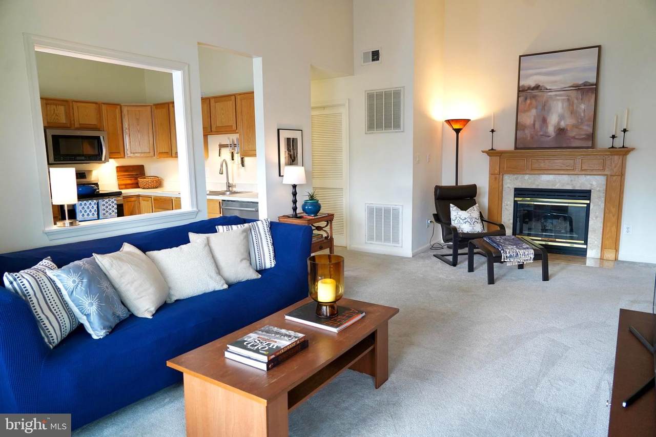 7524 Snowpea Court - Photo 1