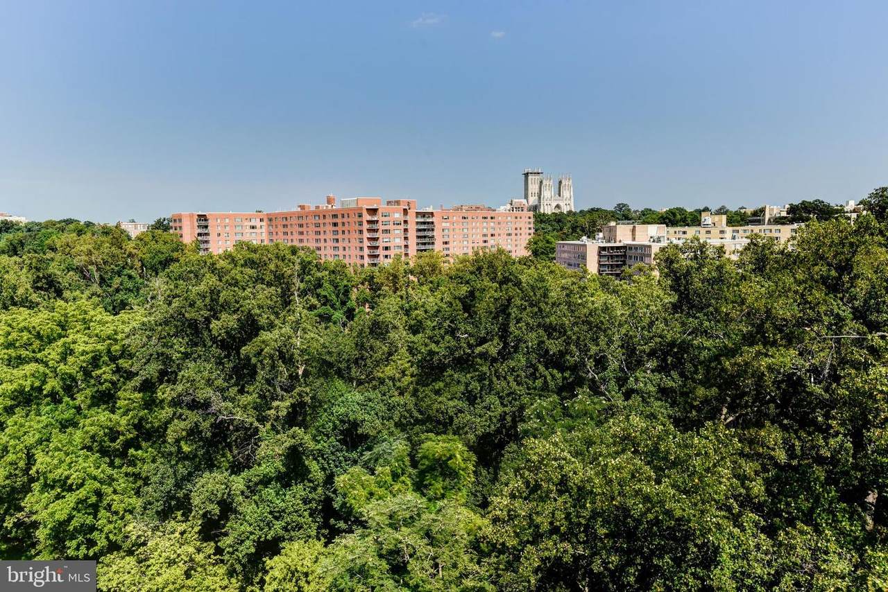 4201 Cathedral Avenue - Photo 1