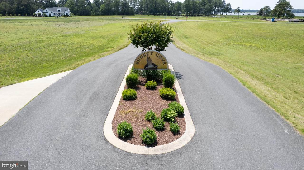 6006 Blue Heron Drive - Photo 1
