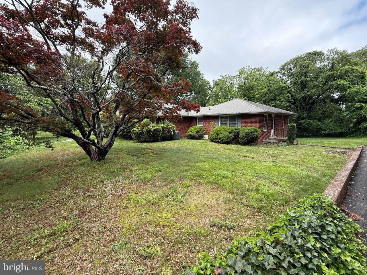 117 Courtland Drive - Photo 1