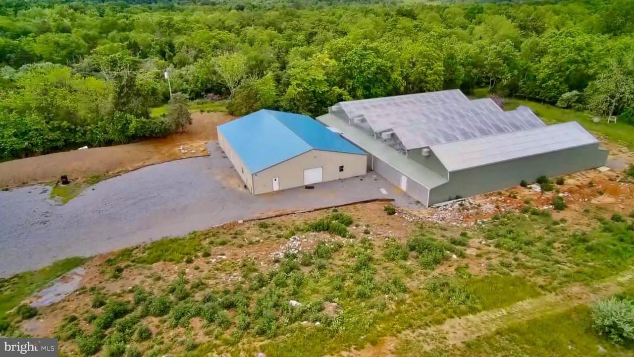 1070 Wadesville Road - Photo 1