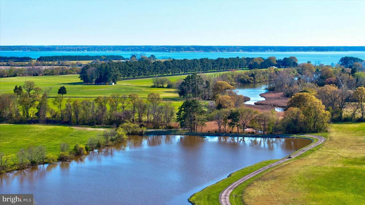 29031 Howell Point Road - Photo 1