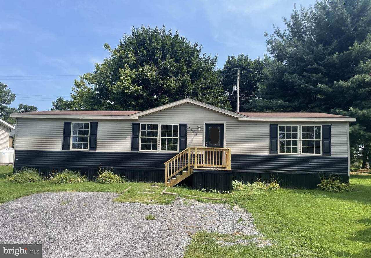 4603 Pine Lane - Photo 1