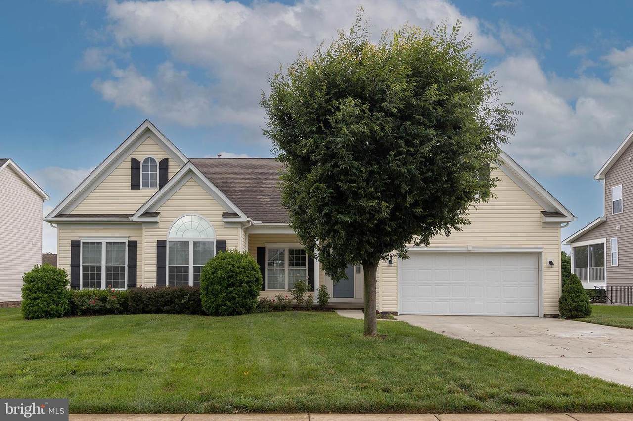 102 Abrams Pointe Boulevard - Photo 1