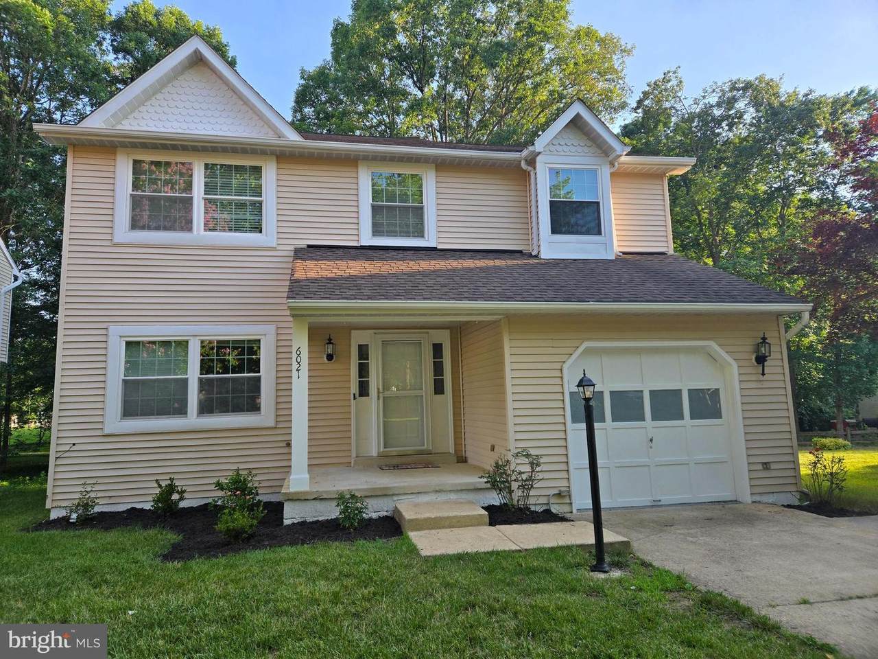 6021 Peccary Street - Photo 1