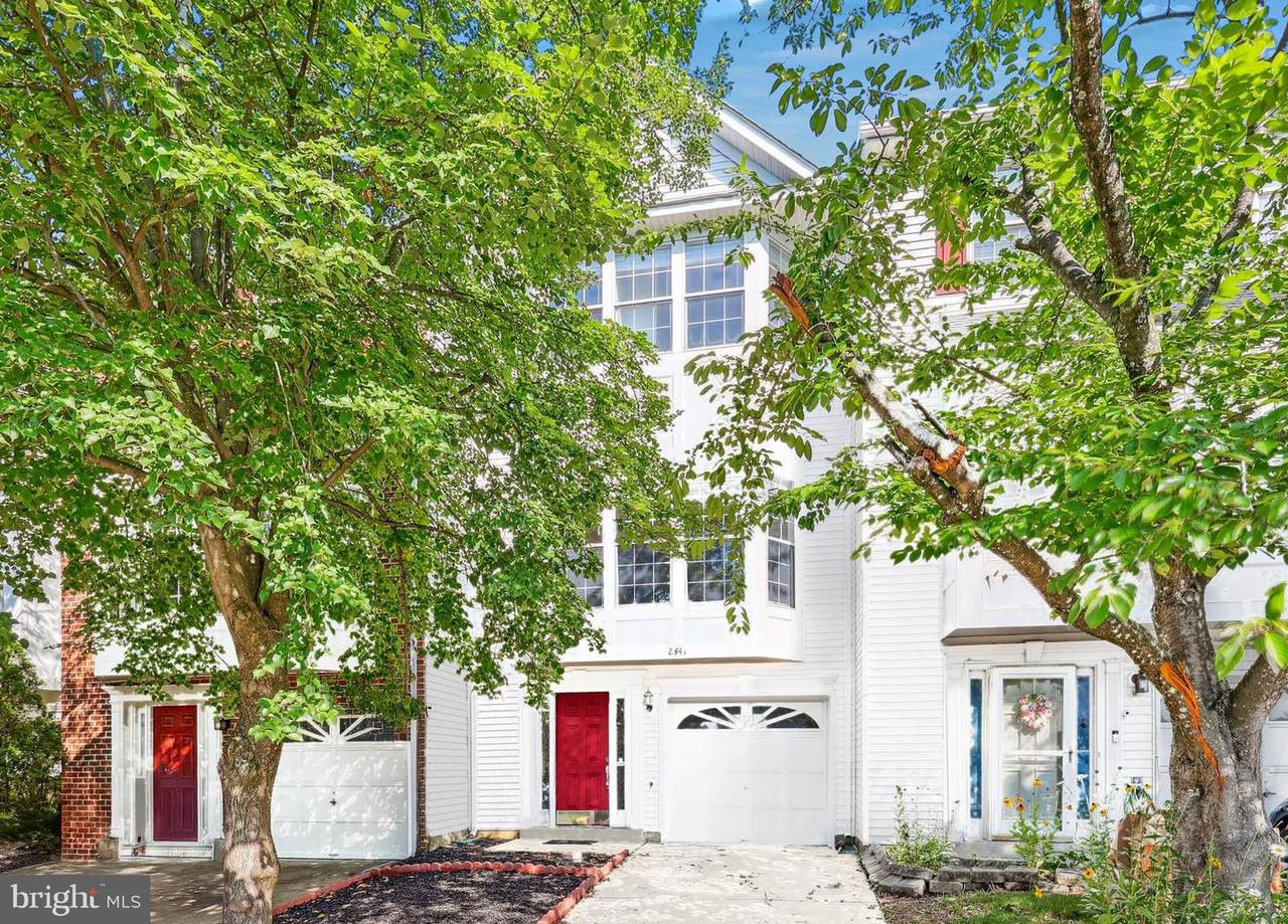 2441 Wheat Meadow Circle - Photo 1