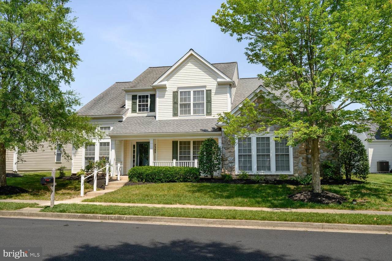 7389 Karen Avenue - Photo 1