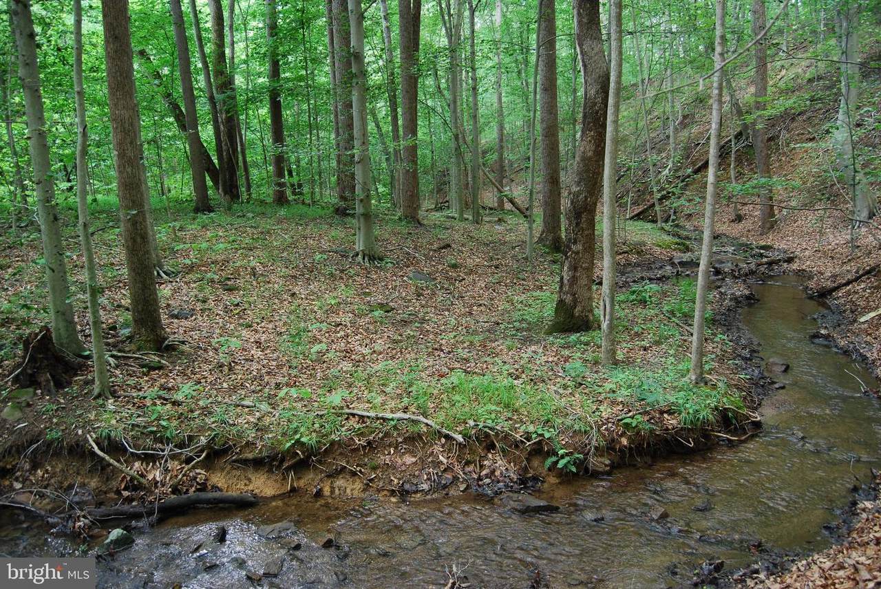  Mount Carmel Road - Photo 1