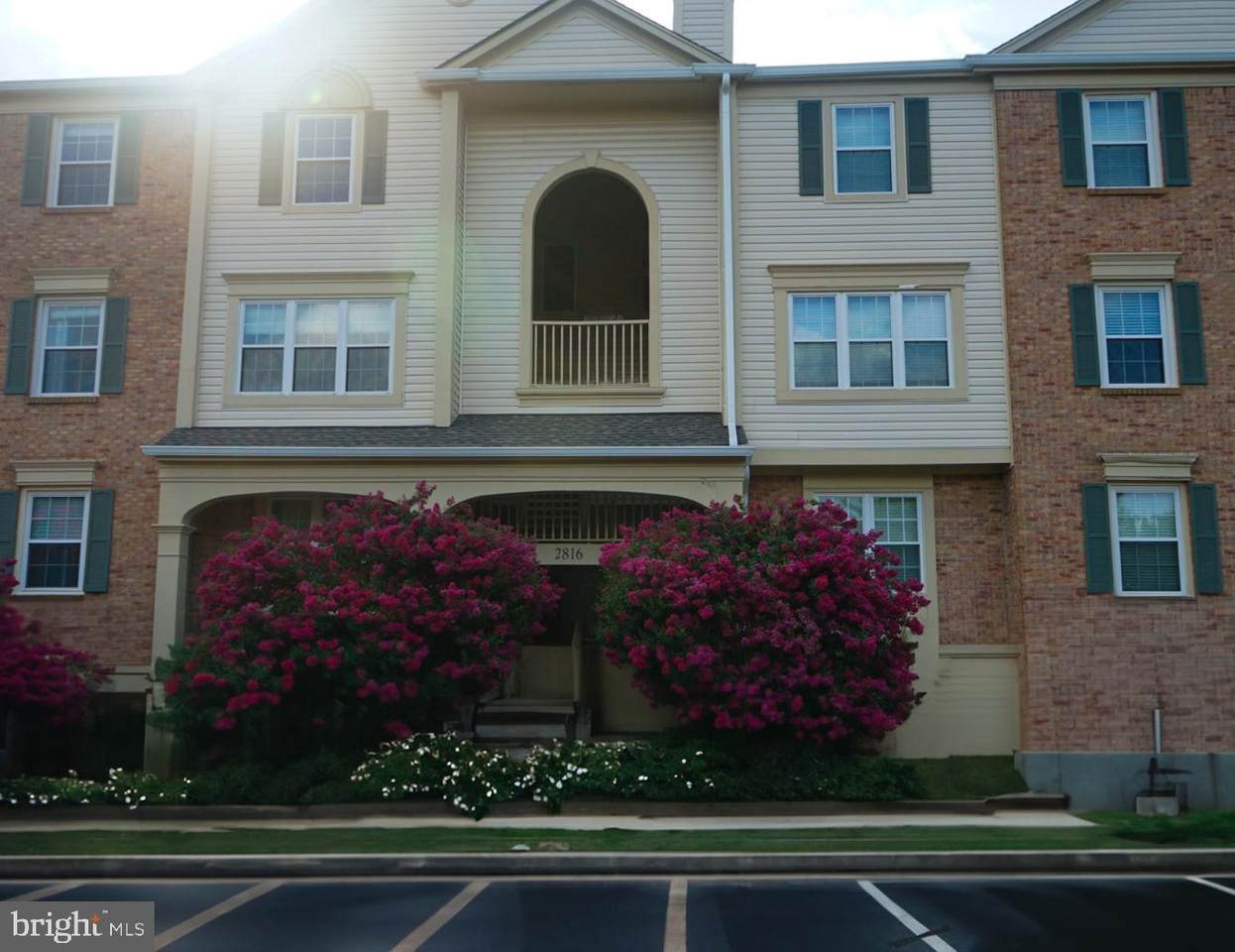 2816 Emma Lee Street - Photo 1