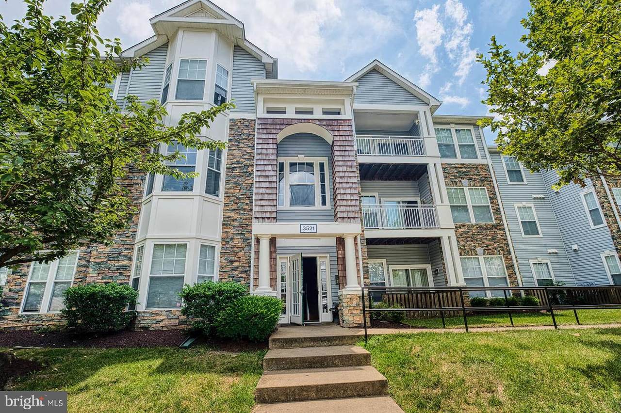 3521 Piney Woods Place - Photo 1