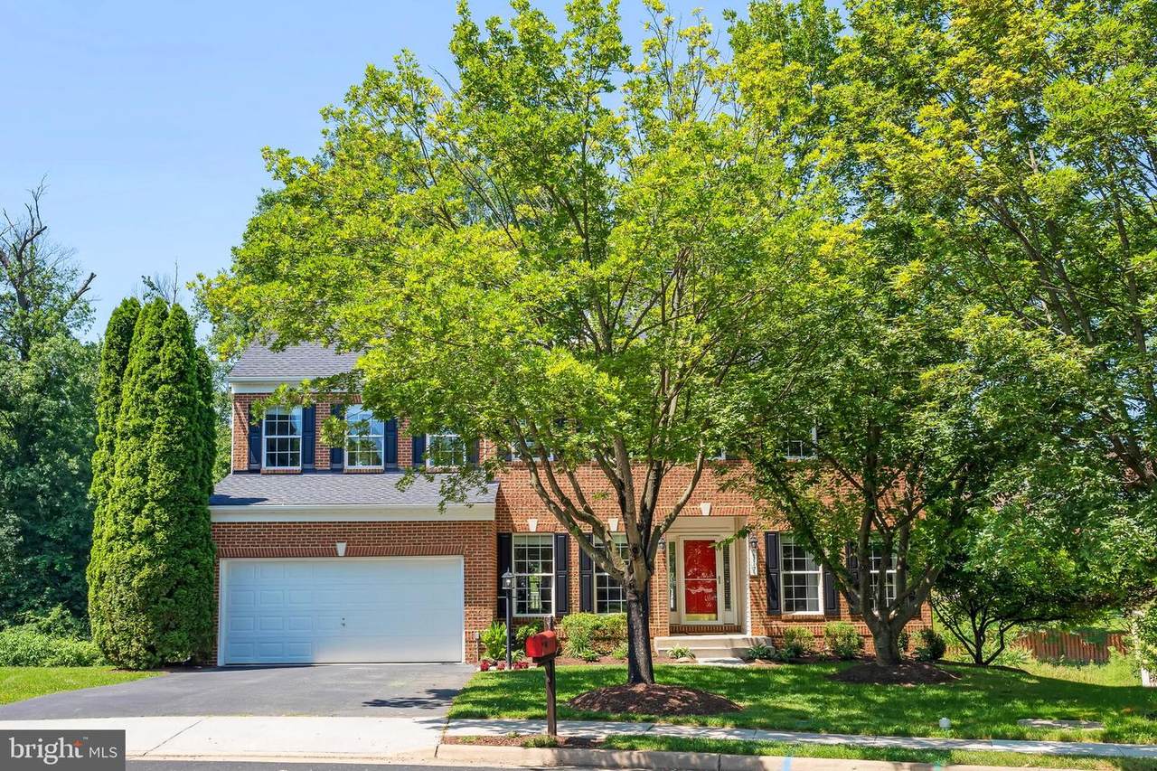 317 Old Dominion Lane - Photo 1