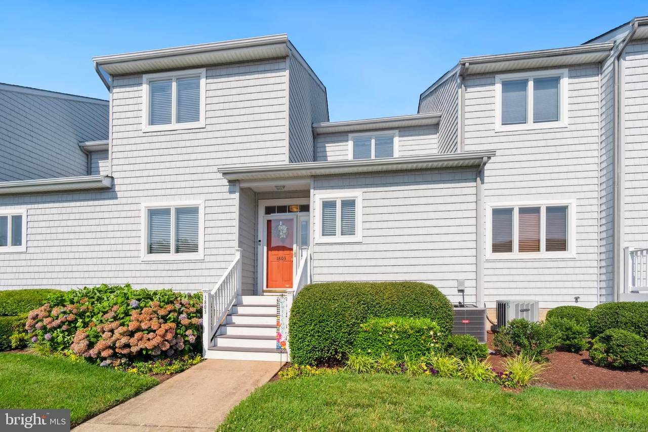 1803 Marion Quimby Drive - Photo 1