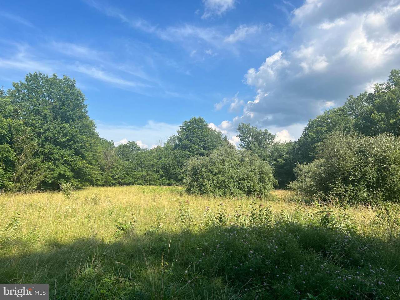 377 Circle Of Progress Drive - Photo 1