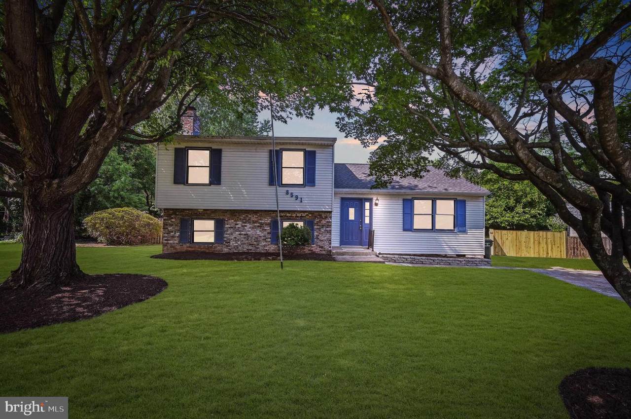 8591 King Carter Street - Photo 1
