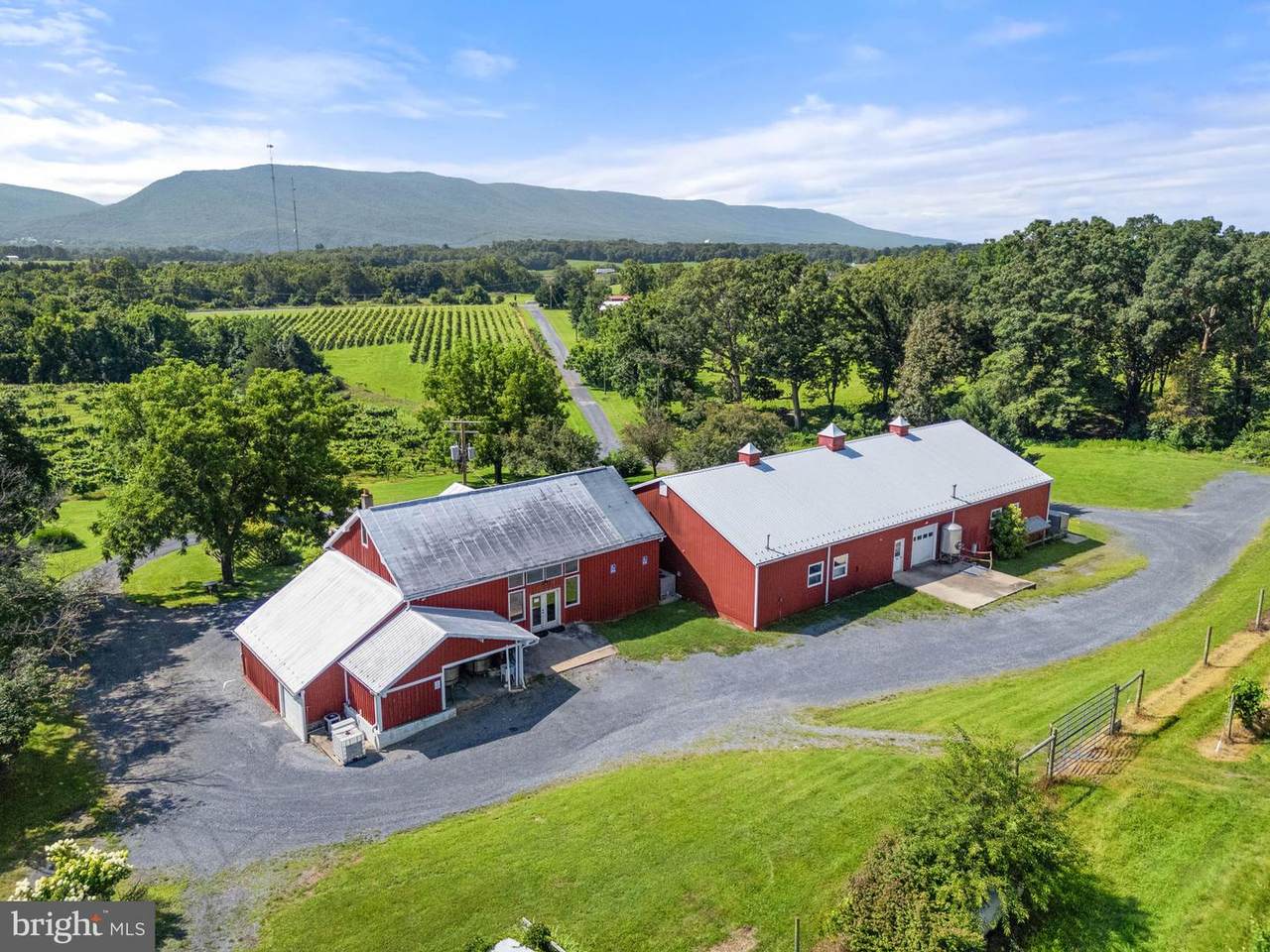 3659 Ox Road - Photo 1