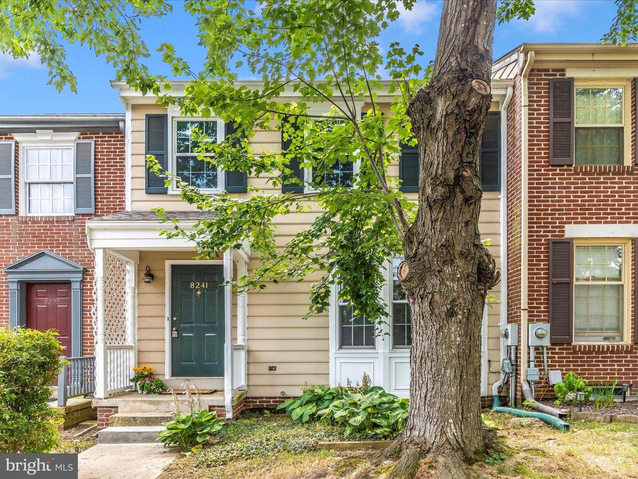 8241 Black Haw Court - Photo 1