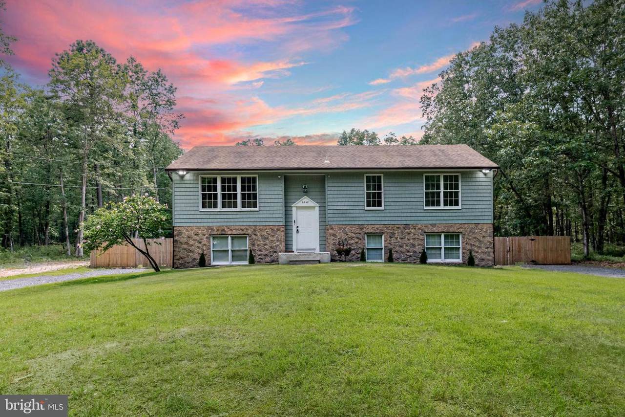 6248 Spruce Street - Photo 1