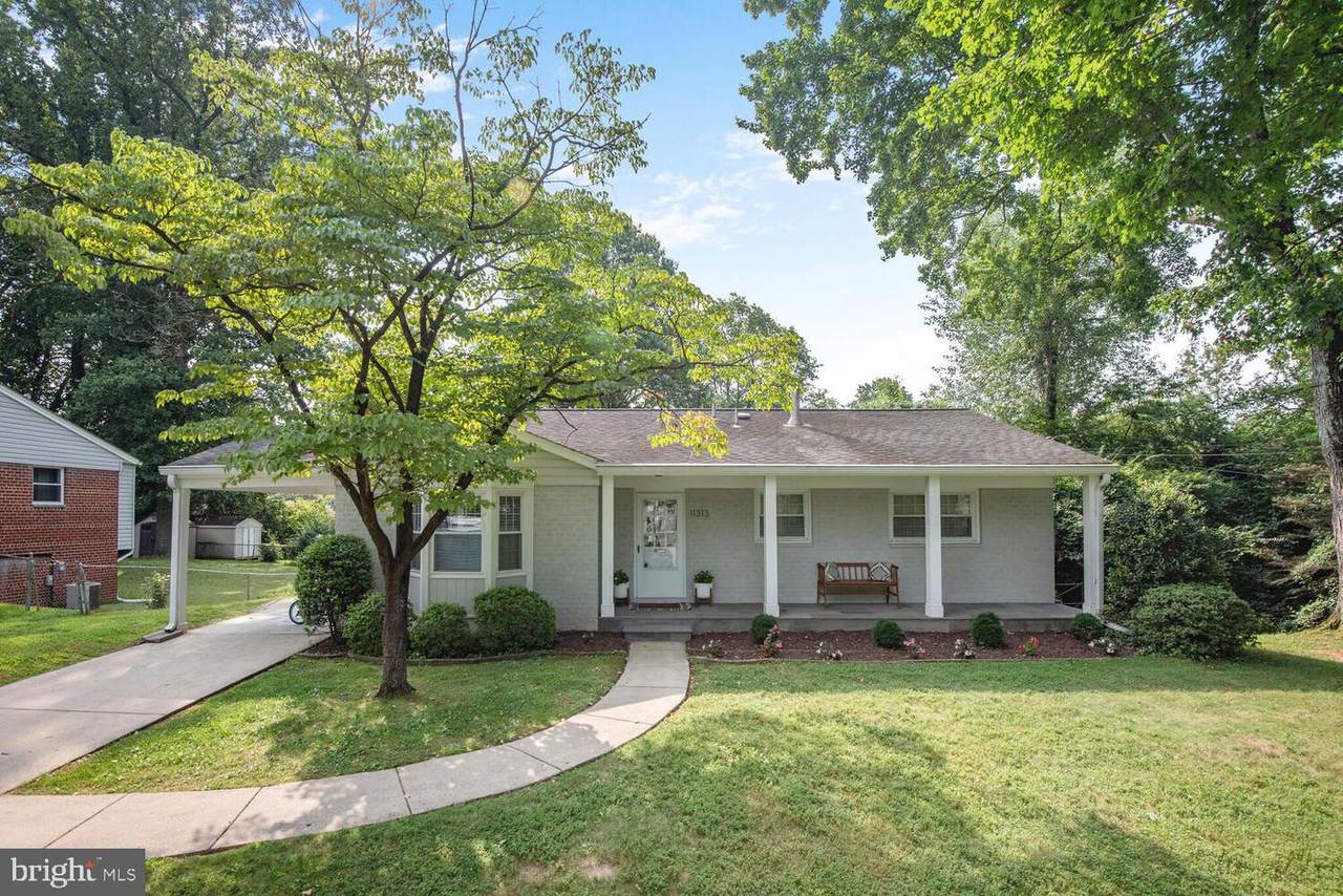 11313 Orleans Way - Photo 1
