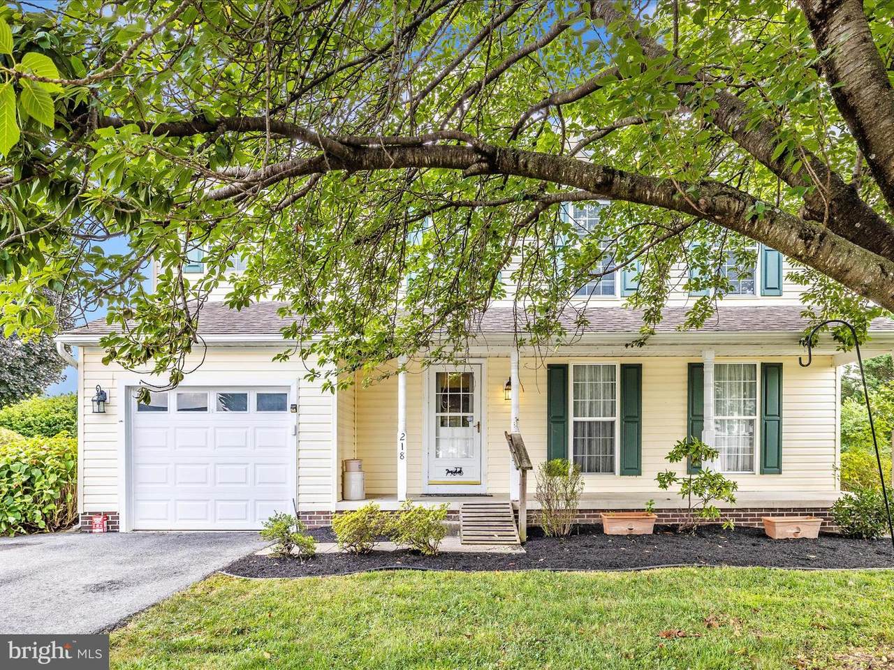 218 Albany Avenue - Photo 1