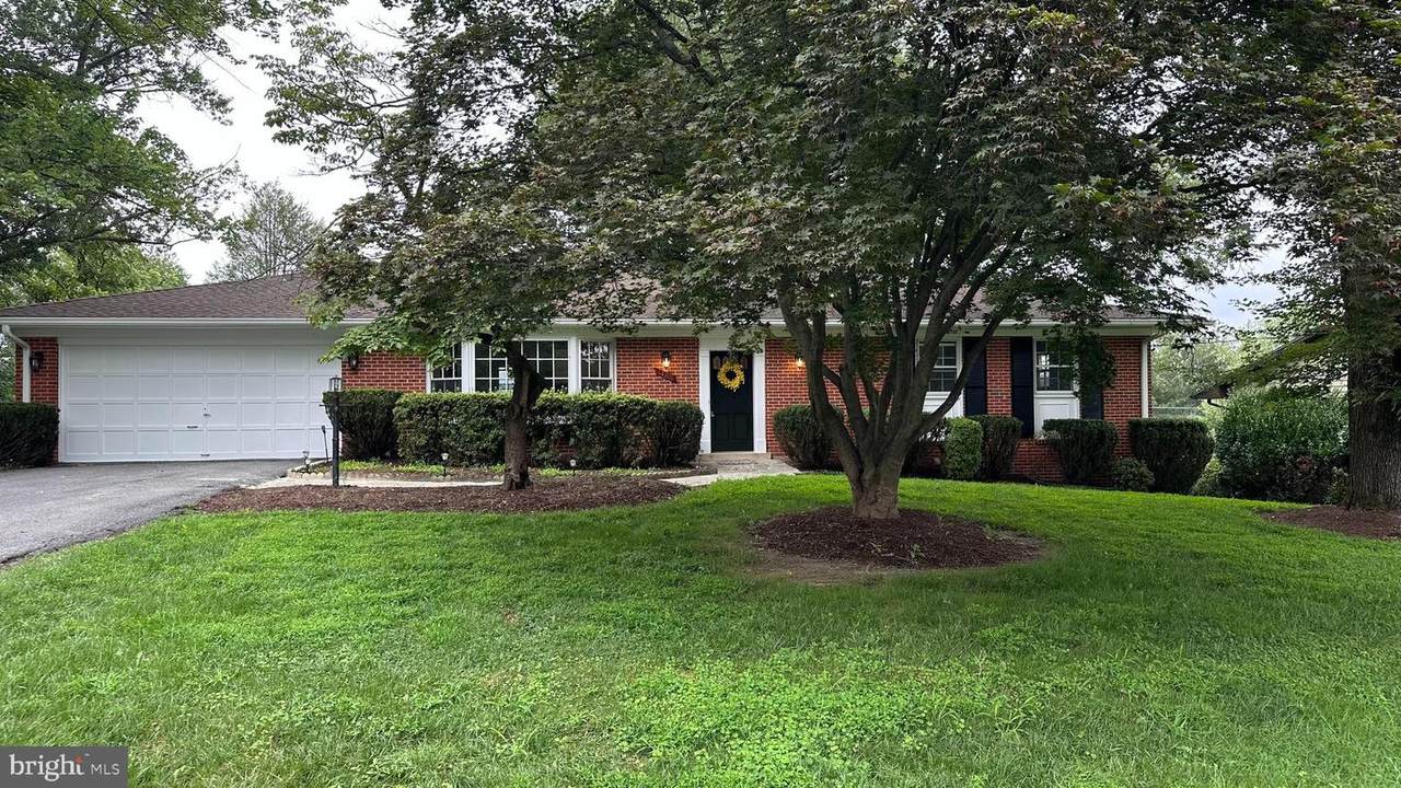 14801 Flintstone Lane - Photo 1