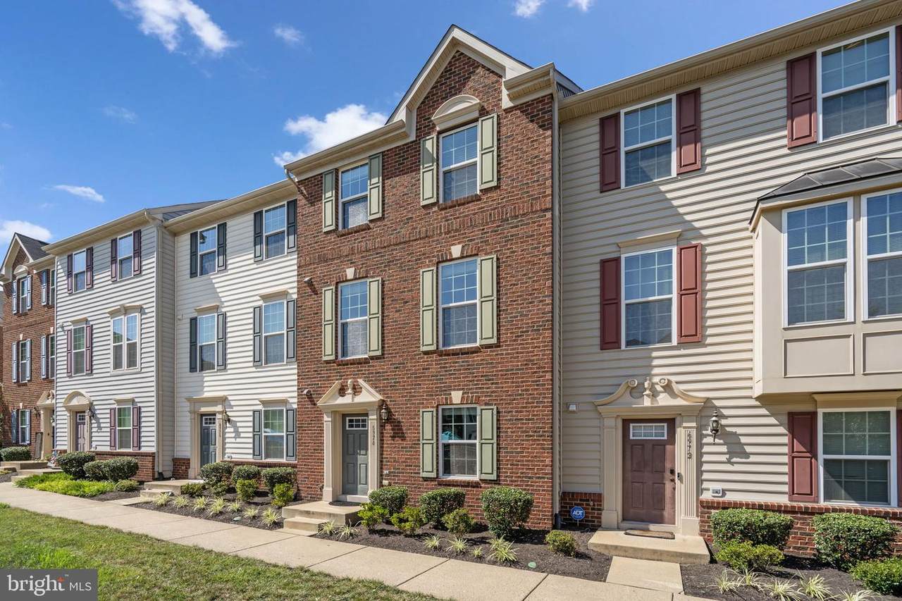 6974 Kona Drive - Photo 1