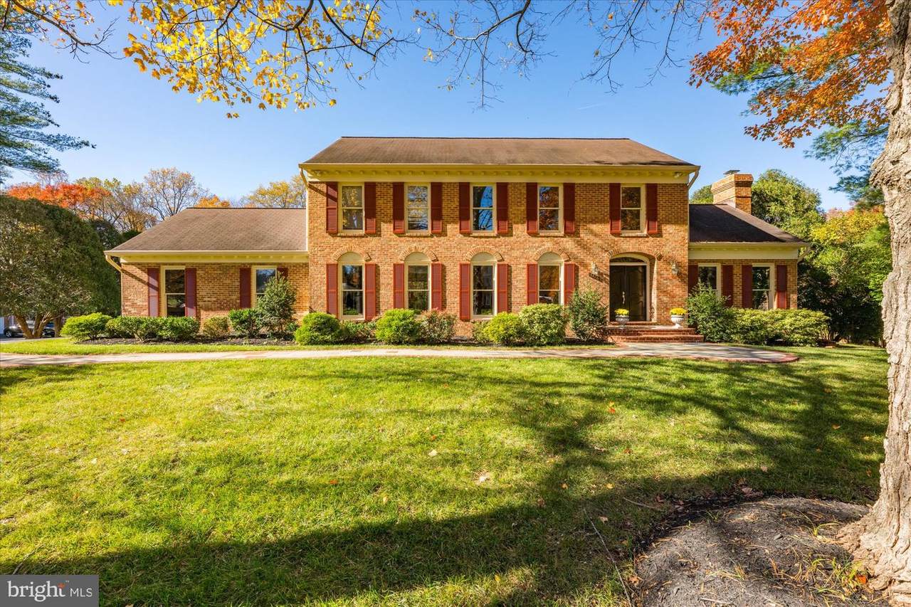 8426 Holly Leaf Drive - Photo 1