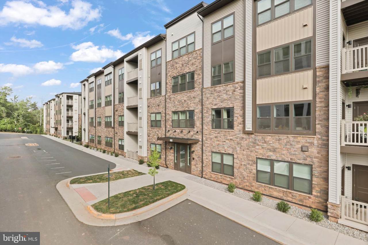 46294 Mount Milstead Terrace - Photo 1