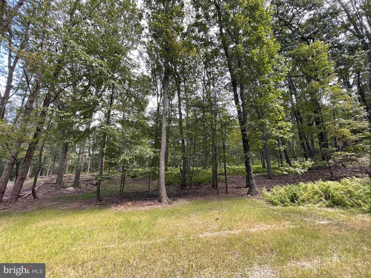 50 Alpine Drive - Photo 1