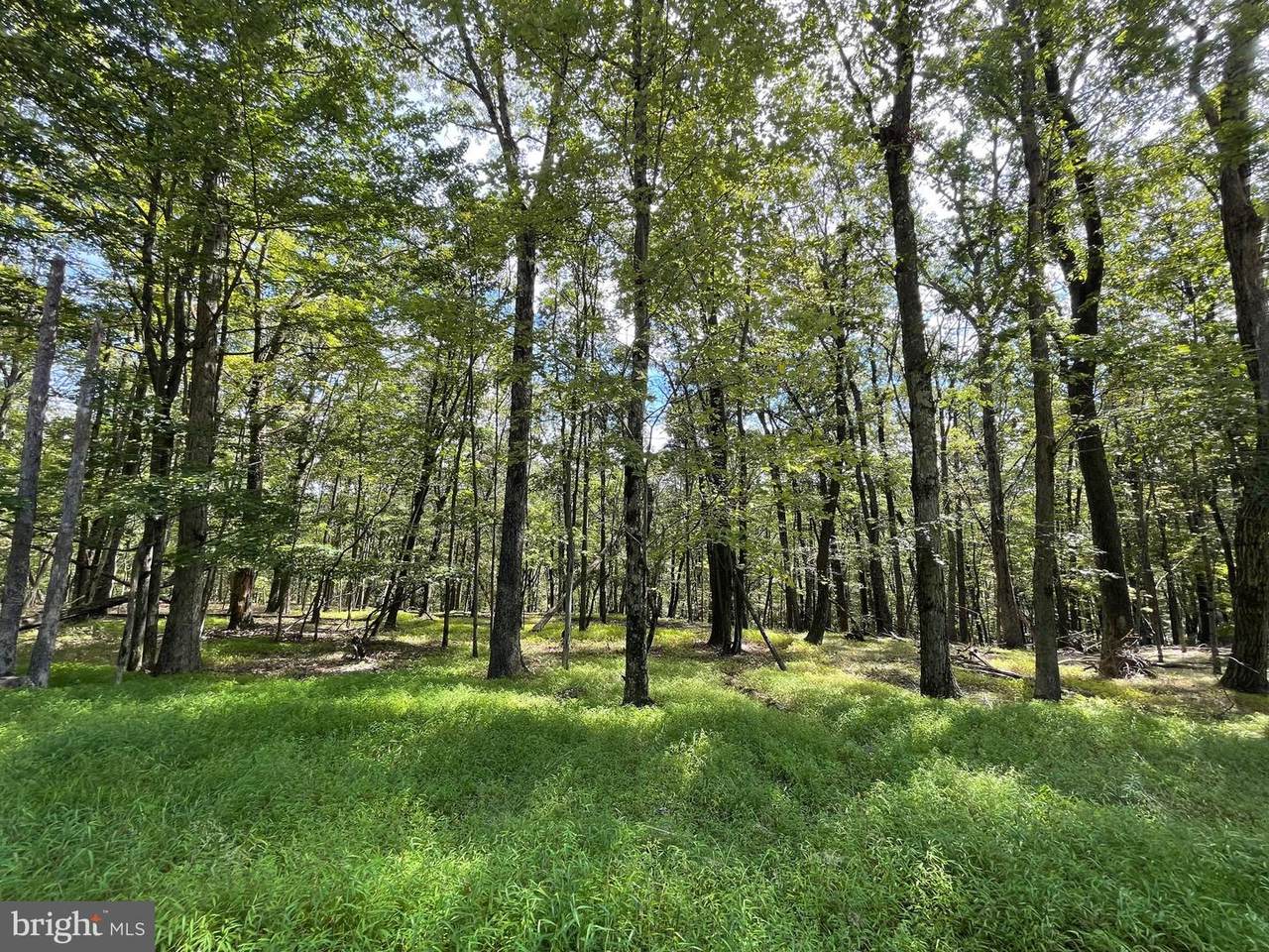 116 Spring Mountain Drive - Photo 1