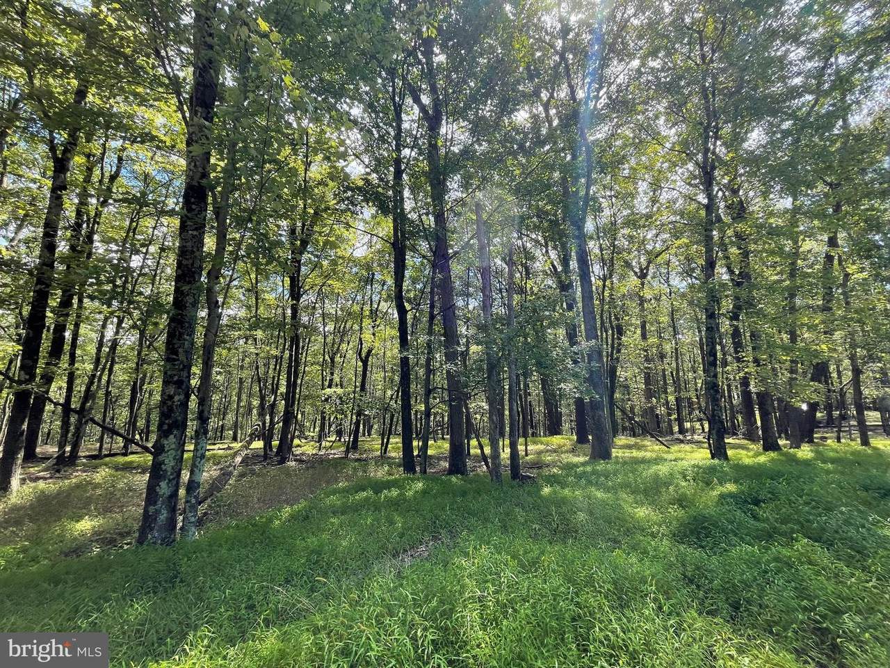 117 Spring Mountain Drive - Photo 1