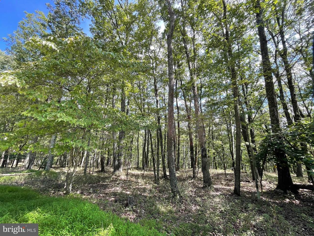 123 Spring Mountain Drive - Photo 1