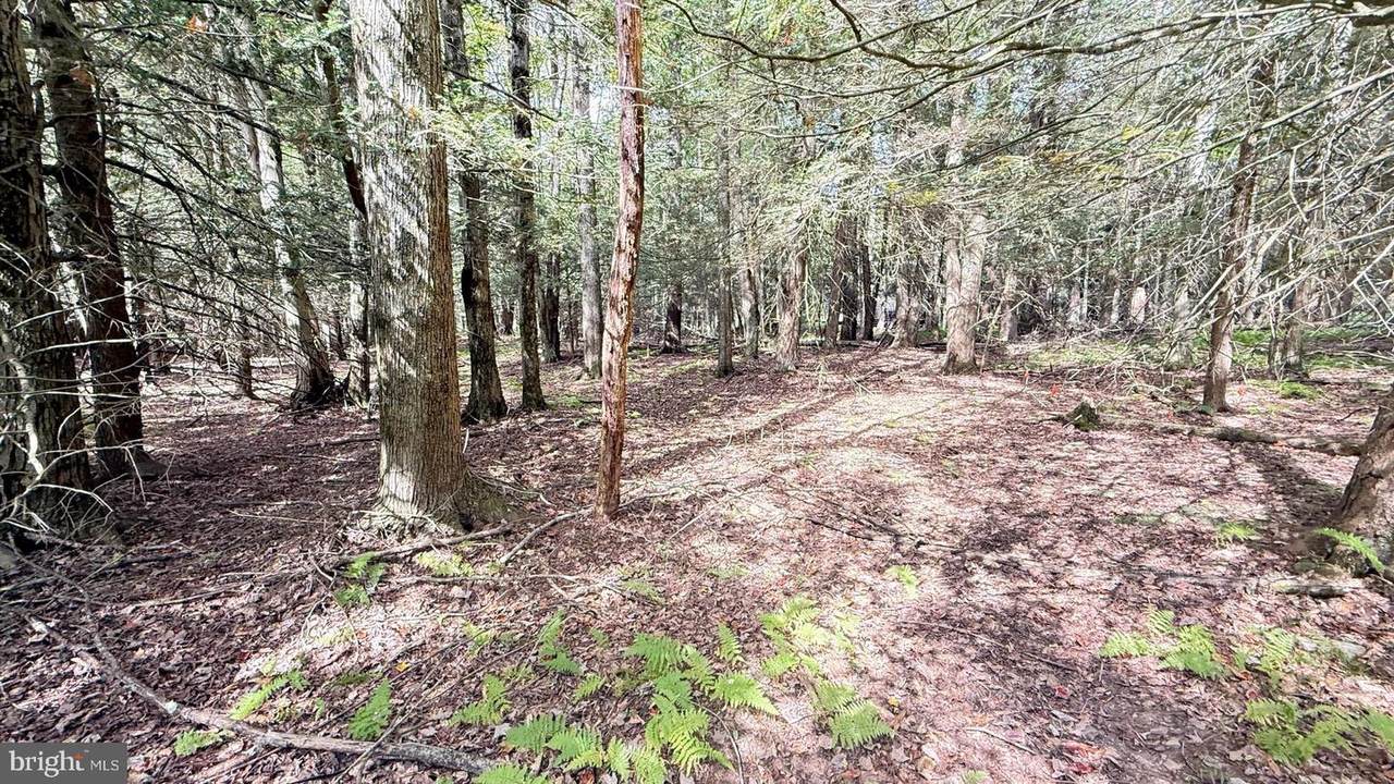 Lot 211-212 Aquaris Ln - Photo 1