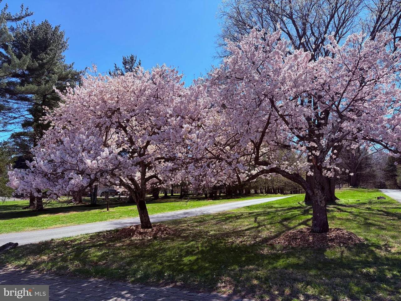 https://bt-photos.global.ssl.fastly.net/brightmls/1280_boomver_2_804136629444-2.jpg