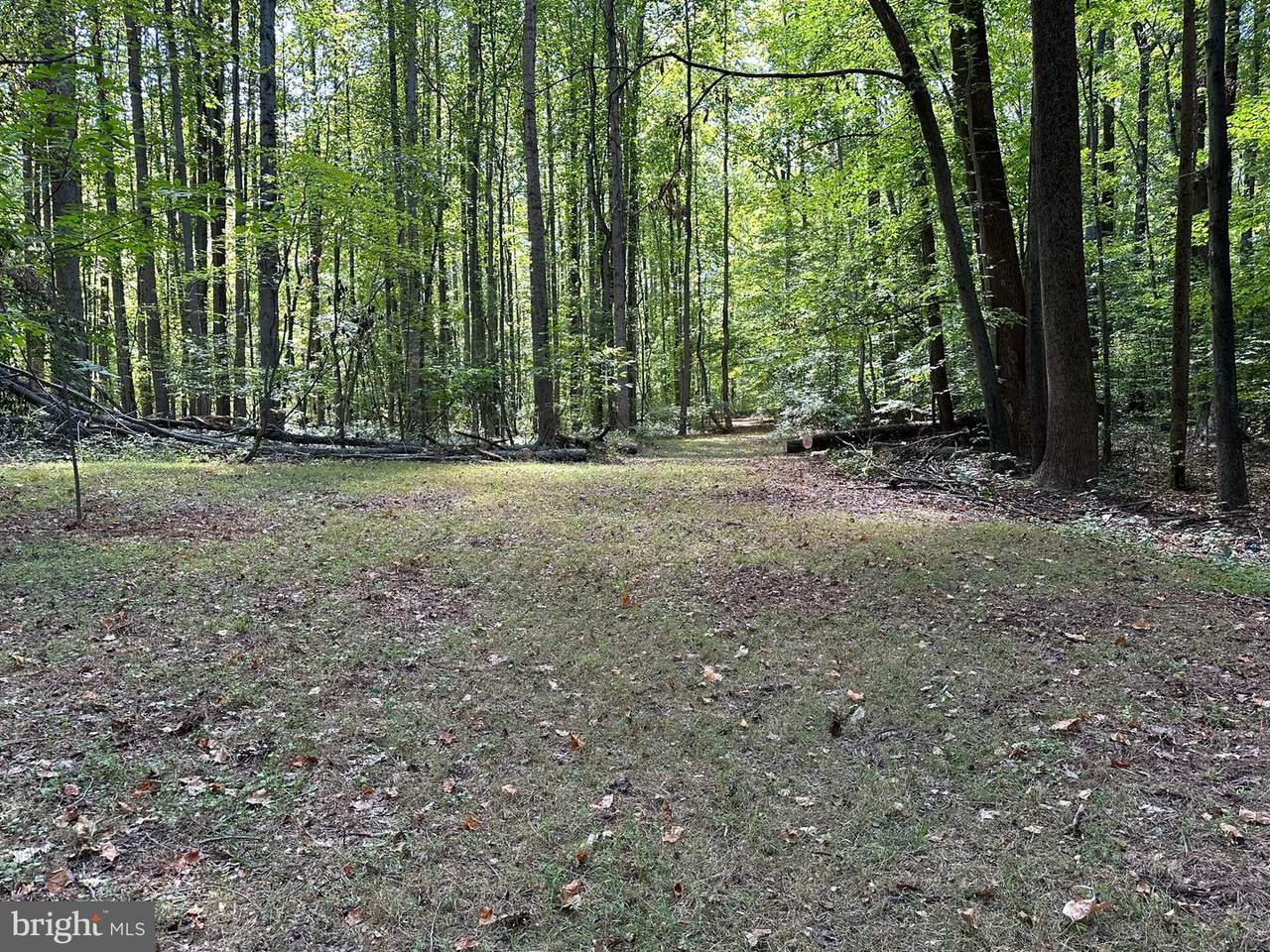 1500, 1501, 1504 Cogar Road - Photo 1