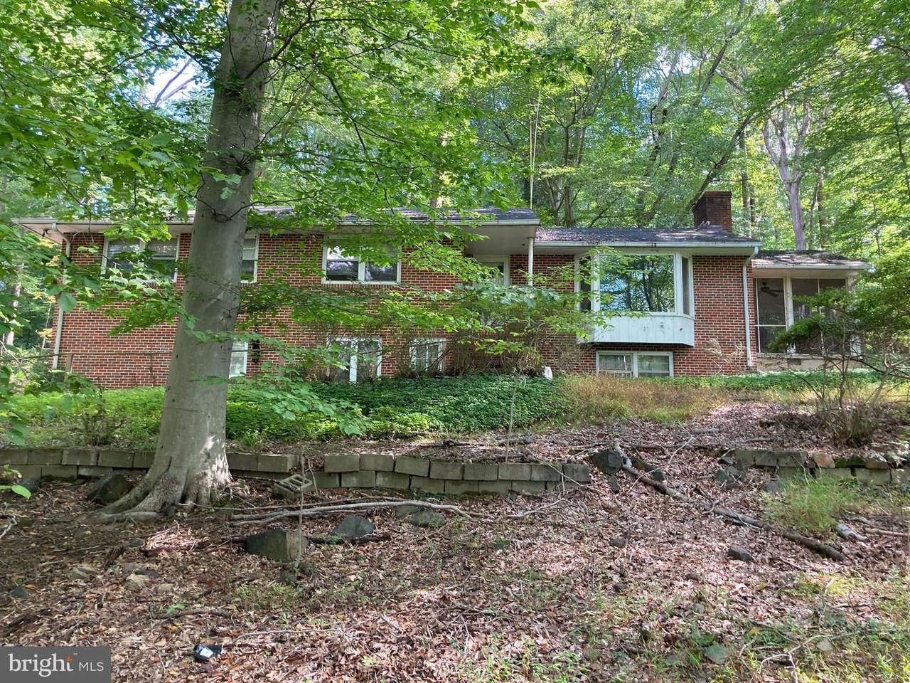 4921 Bonnie Branch Road - Photo 1