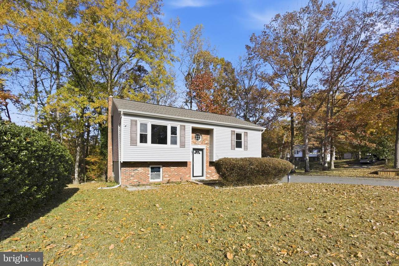 7301 Drew Lane - Photo 1